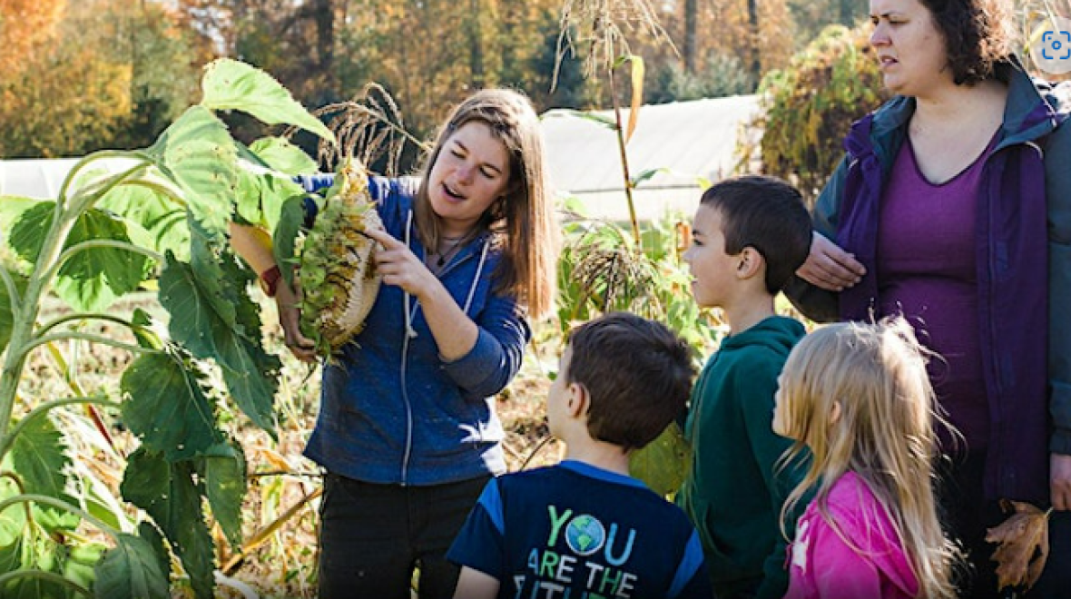 Educational Workshops